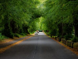 Fatal Blue Springs Car Accident on US-40 Claims One Life