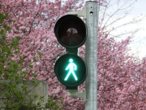 Woman Loses Life in Fatal Topeka Pedestrian Accident on SE 6th Ave